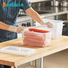 1/3 Size Plastic Polypropylene Gn Pan Translucent Color NSF Certified