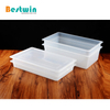 1/1 Size Plastic Polypropylene Gn Pan Translucent Color NSF Certified