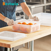 1/2 Size Plastic Polypropylene Gn Pan Translucent Color NSF Certified