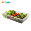 1/1 Size Plastic Polycarbonate Gn Pan Transparent Color NSF Certified