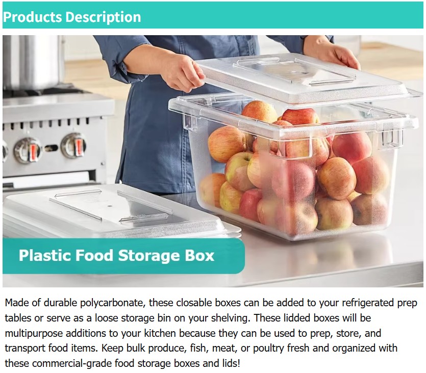 food storage box detail_1